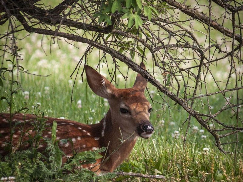 19150 West Darby Road, Marysville, OH 43040 Photo 3