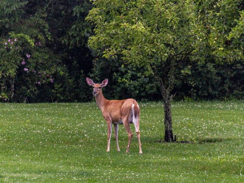 19150 West Darby Road, Marysville, OH 43040 Photo 4