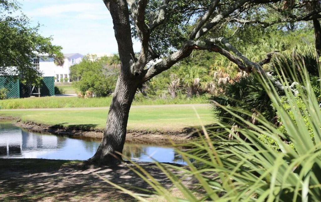 204 Sea Cloud Circle Photo 23