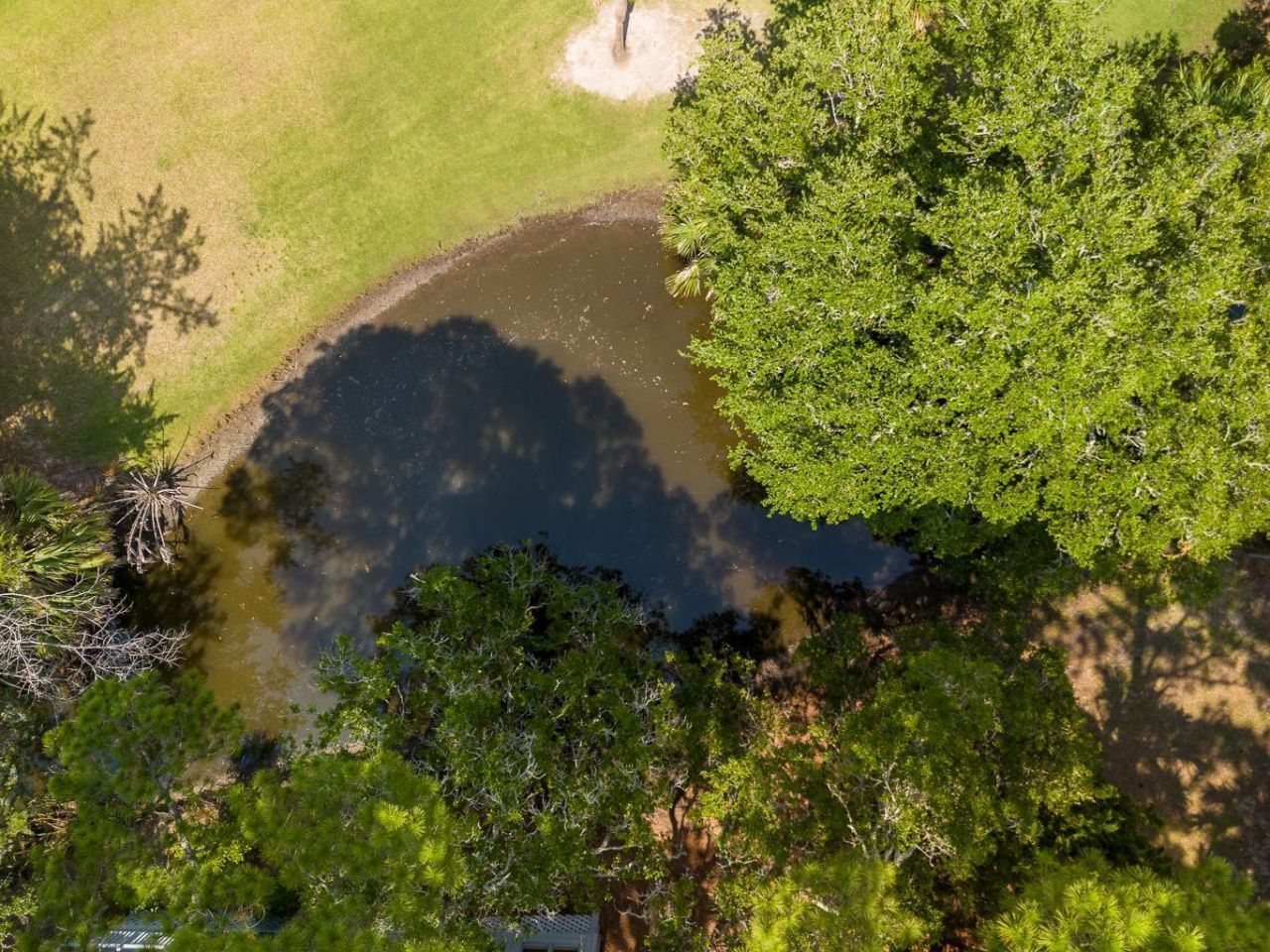 204 Sea Cloud Circle Photo 24