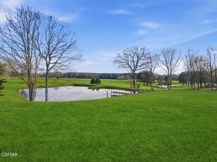 Property Image 60