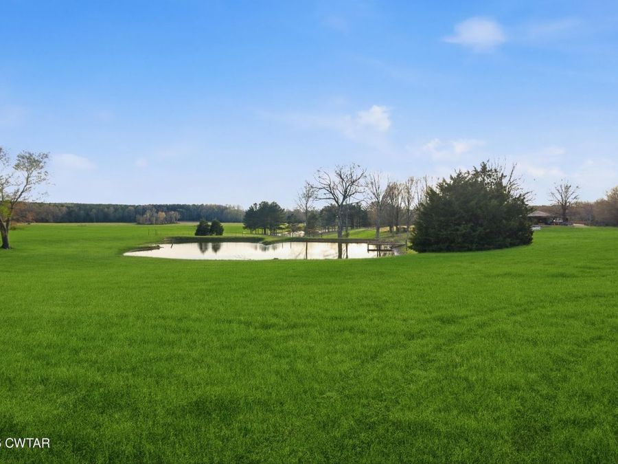 Property Image 68