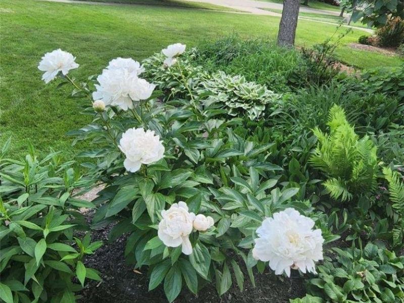 6360 Ramblewood Drive, Mentor, OH 44060 Photo 47