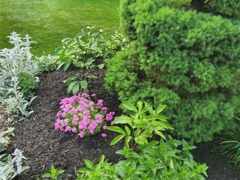 6360 Ramblewood Drive, Mentor, OH 44060 Photo 48