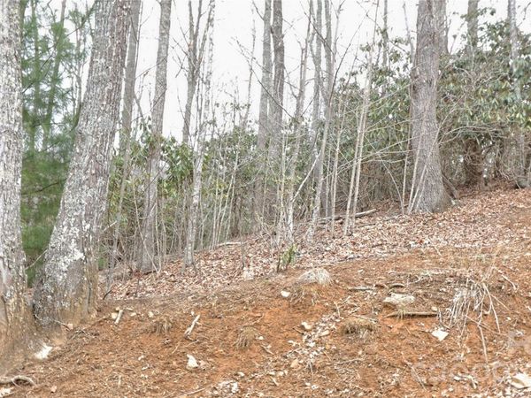 TBD Vineyards Retreat Road , Newland, NC 28657