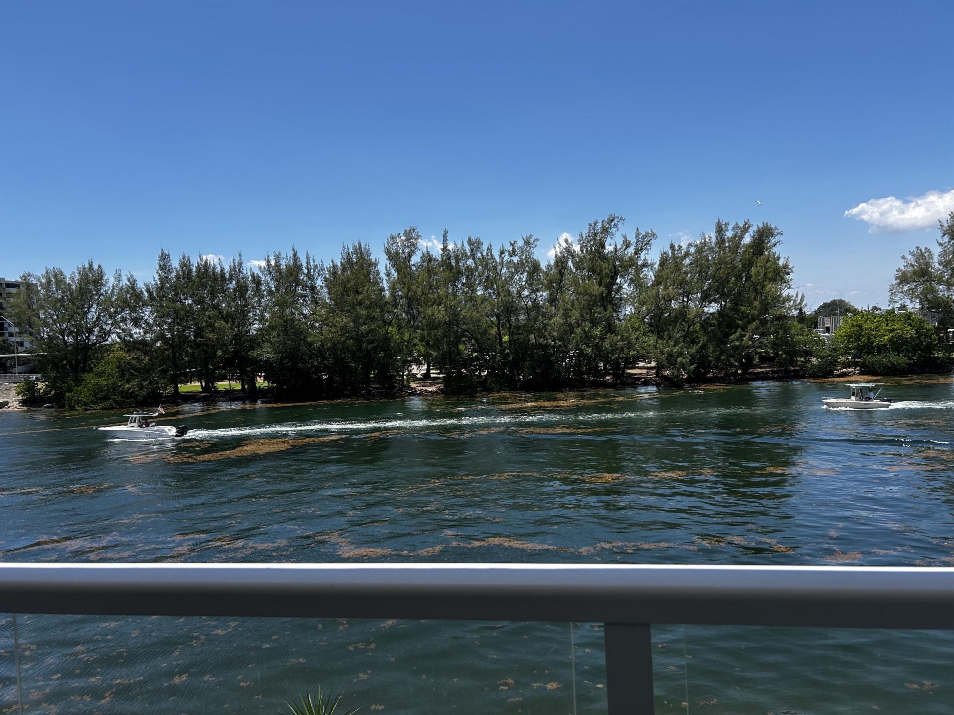 1401 N Riverside Drive, Unit 307, Pompano Beach, FL 33062 Photo