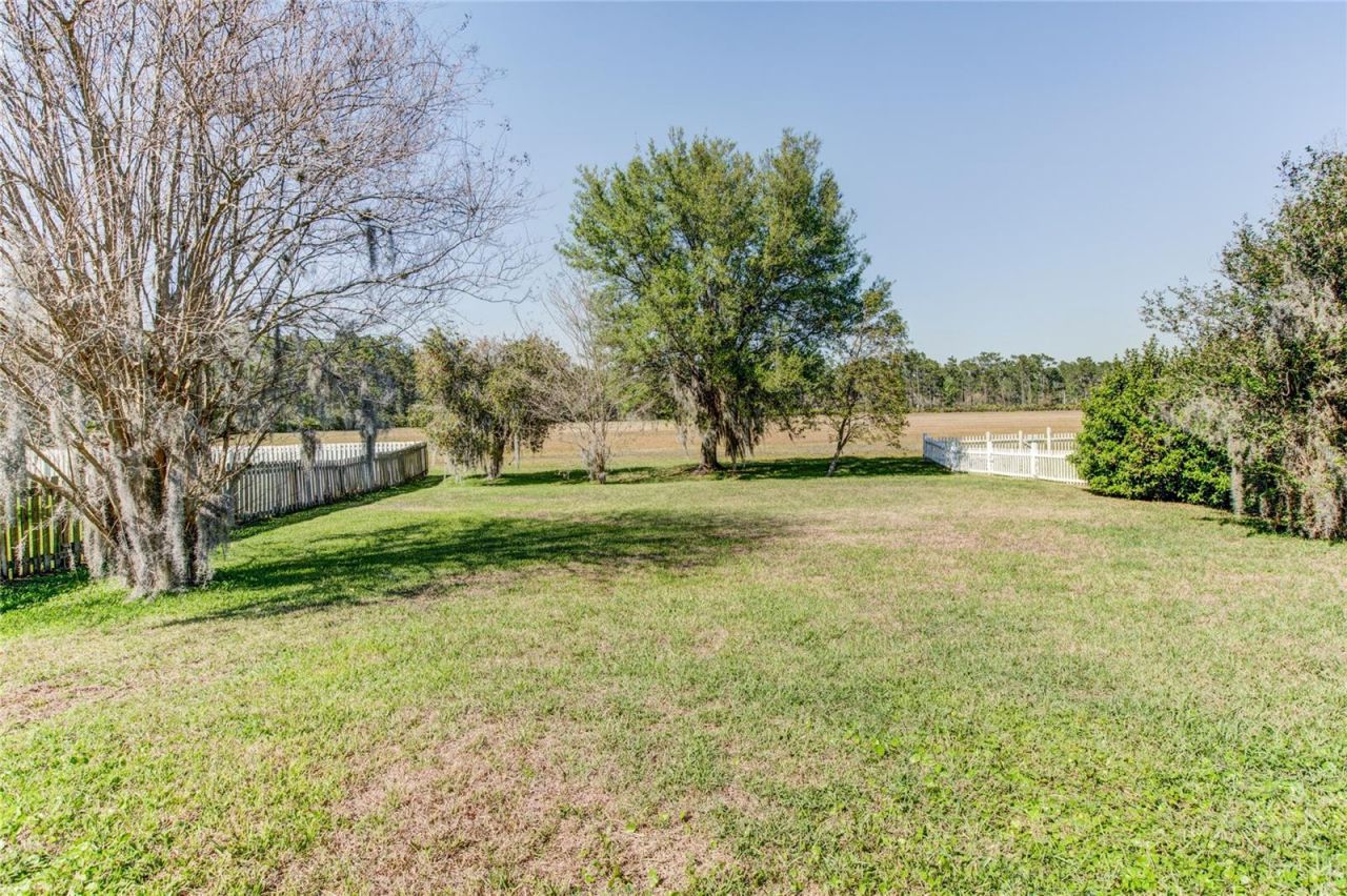 1551 Amaryllis Circle, Orlando, FL 32825 Photo