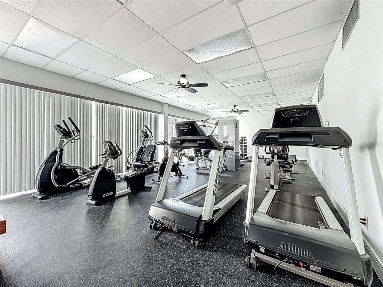 7425 Bay Island Drive S, Unit 105, South Pasadena, FL 33707 Photo