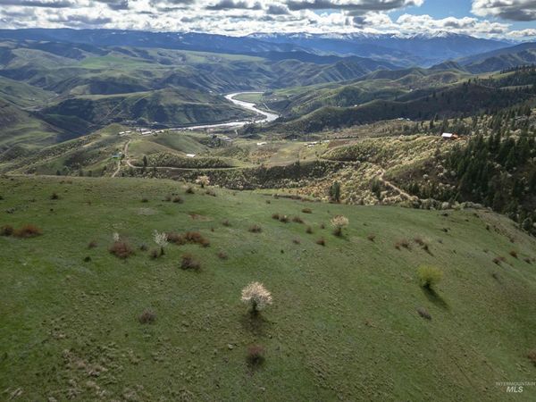 TBD Blue Grouse Road, White Bird, ID 83554