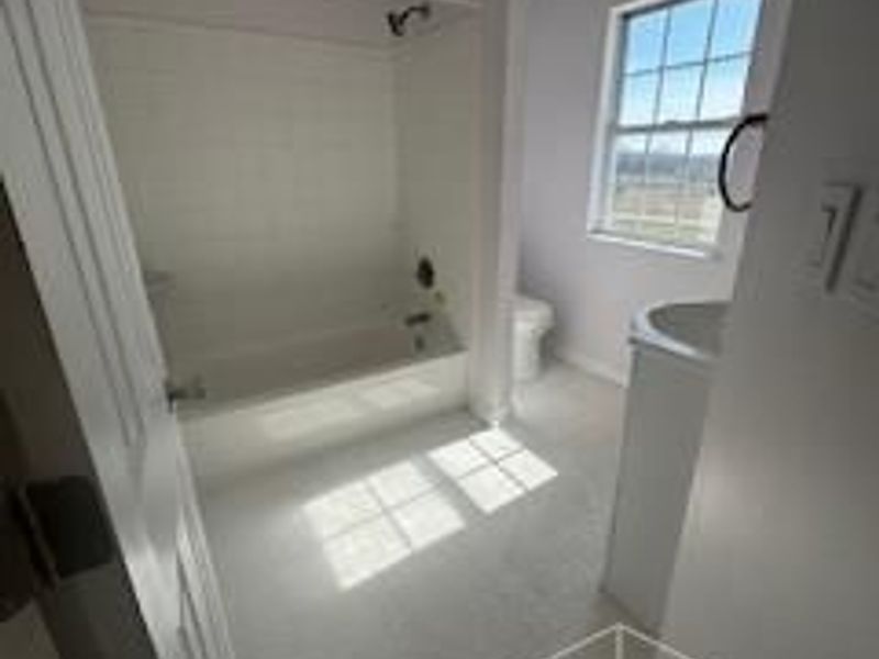 7629 Gooselick Road, Ripley, OH 45167 Photo 21