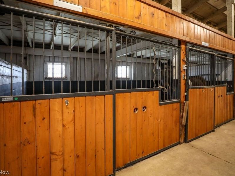 7821 Ferguson Road, Streetsboro, OH 44241 Photo 20