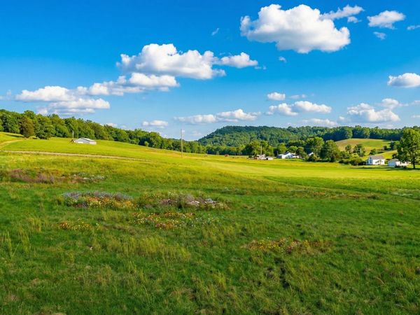 0 Thompson Creek Rd, Shelbyville, TN 37160