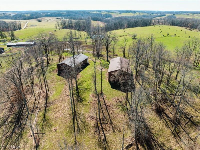 91100 Eckley Road, Jewett, OH 43986 Photo 18