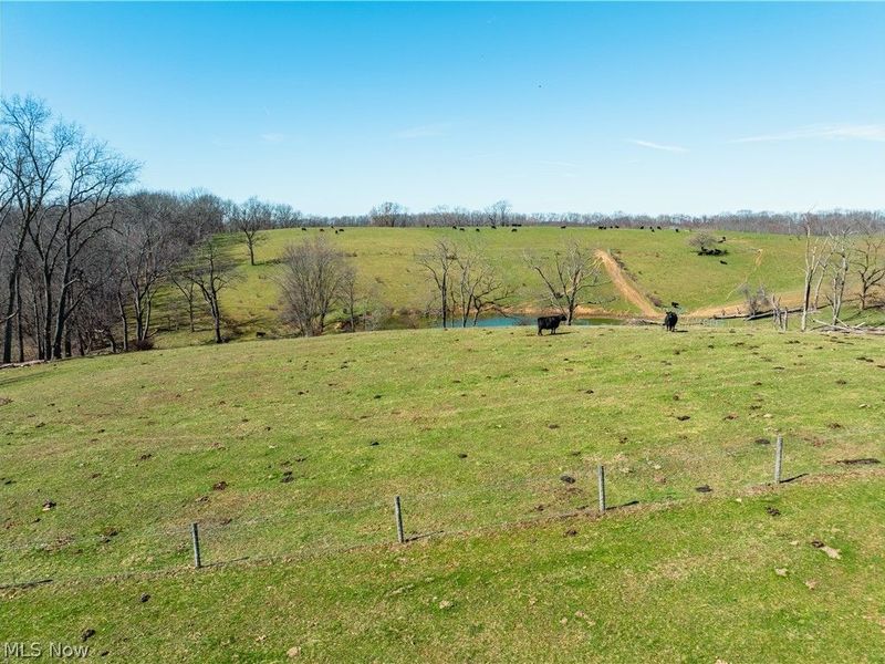 91100 Eckley Road, Jewett, OH 43986 Photo 24