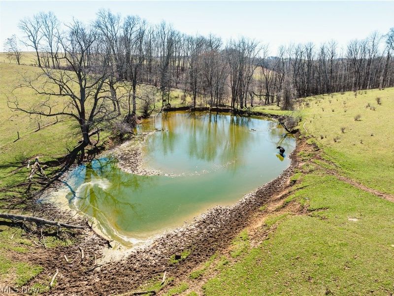 91100 Eckley Road, Jewett, OH 43986 Photo 25