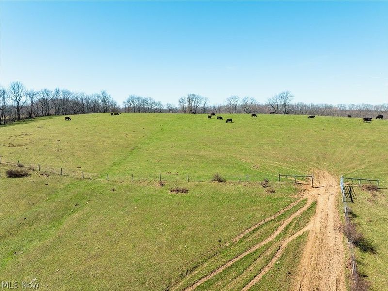 91100 Eckley Road, Jewett, OH 43986 Photo 26