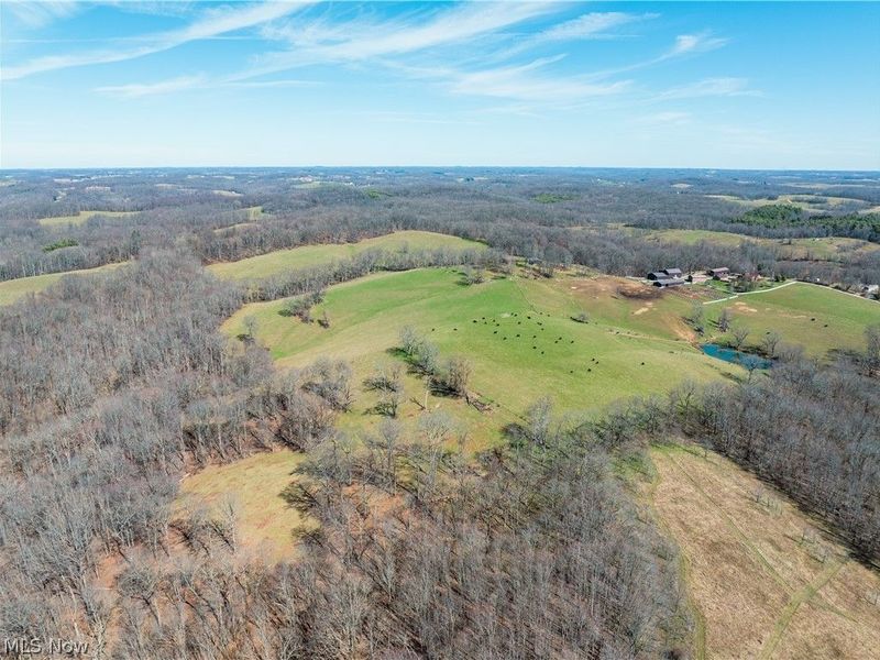 91100 Eckley Road, Jewett, OH 43986 Photo 28