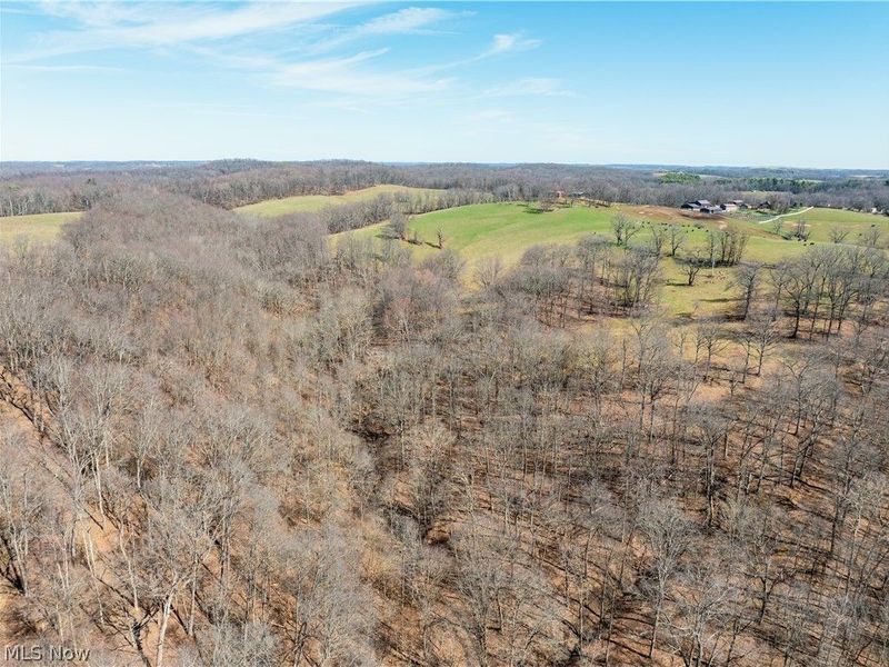 91100 Eckley Road, Jewett, OH 43986 Photo 29