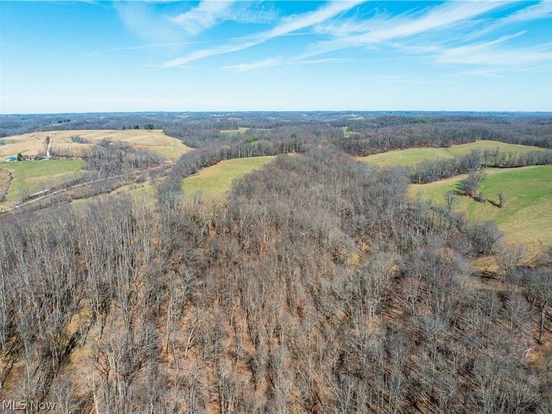 91100 Eckley Road, Jewett, OH 43986 Photo 30