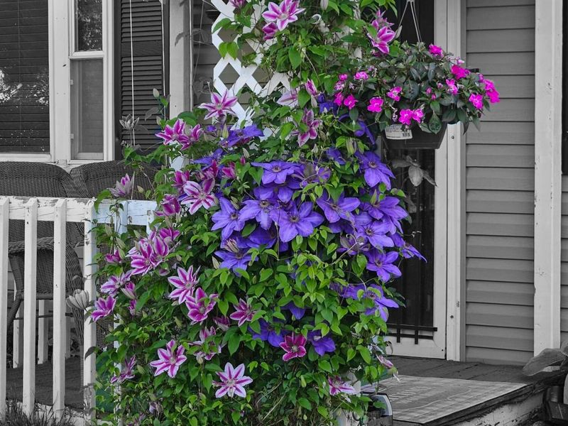 6558 Maple Way , Galloway, OH 43119 Photo 3