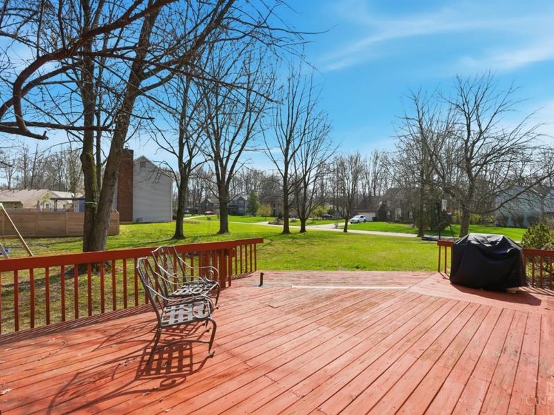 1160 Ivy Farm Way, Pierce Twp, OH 45102 Photo 56