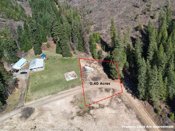 4149 North Deer Lake Rd, Loon Lake, WA 99148