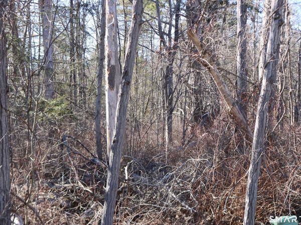 Ashley, Goshen, CT 06756