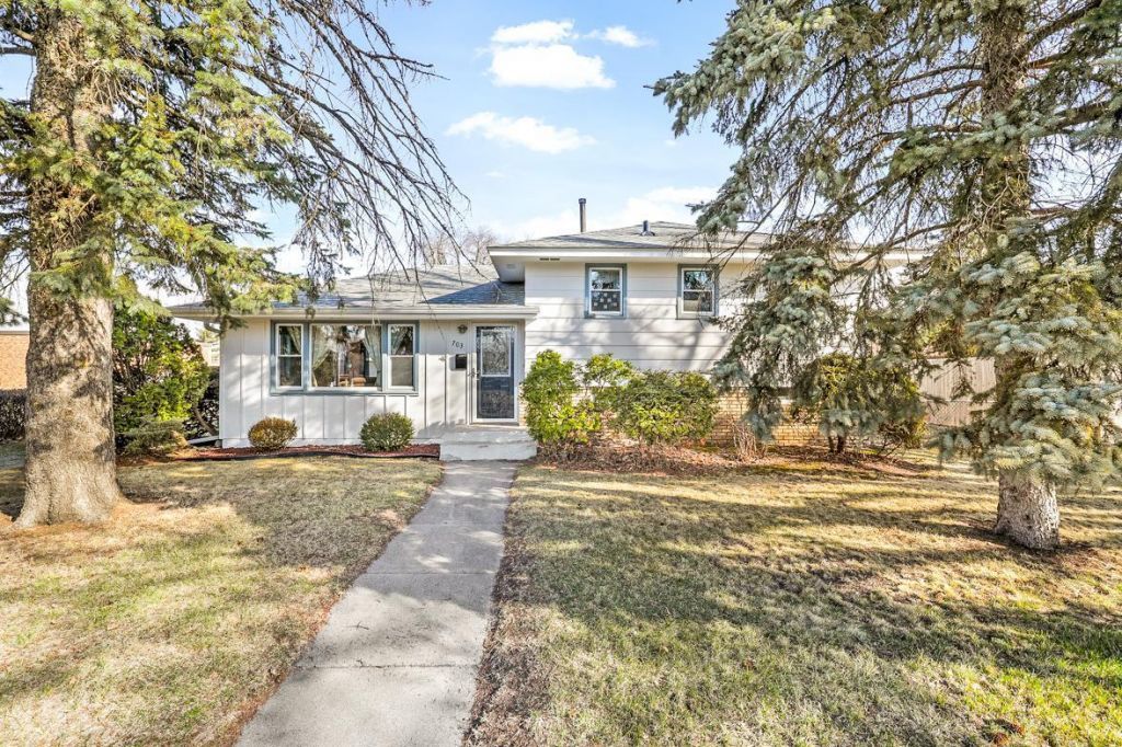 703 Mississippi Street Ne, Fridley, MN 55432 Main Photo