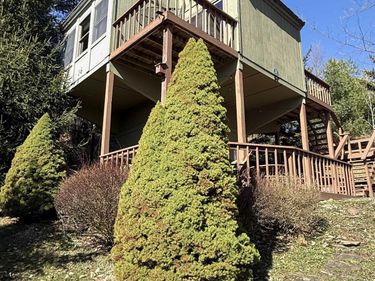21 Bear Lair Lane, Davis, WV 26260
