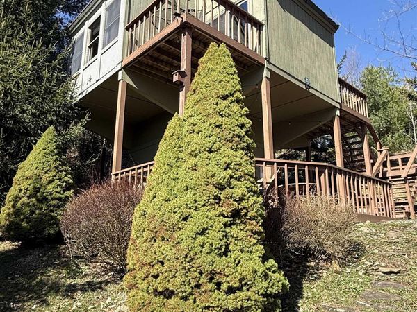 21 Bear Lair Lane, Davis, WV 26260