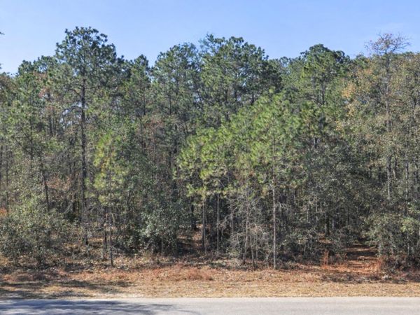 0000 SW Rainelle Road, Dunnellon, FL 34431