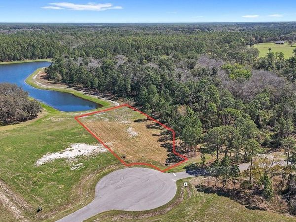 20280 SHORELINE RANCH LANE, UMATILLA, FL 32784