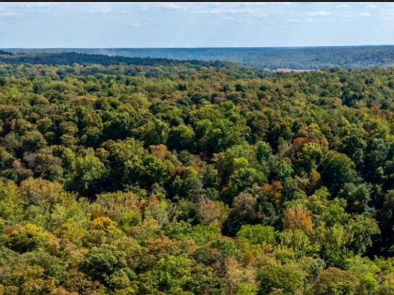 9.3ac Sugar Camp Road, Miami Twp, OH 45150 Photo 1