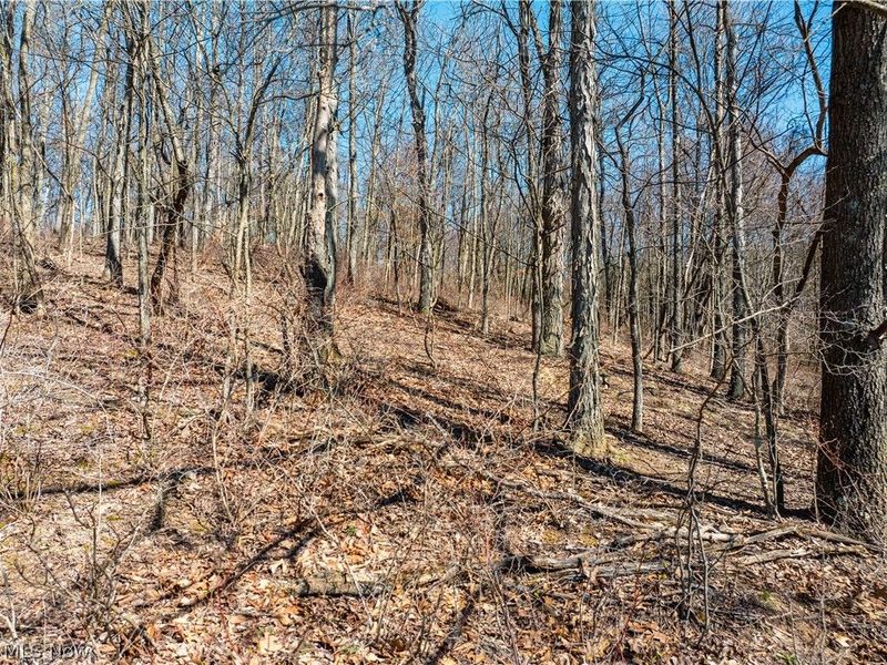 Burrier Road, Jewett, OH 43986 Photo 15