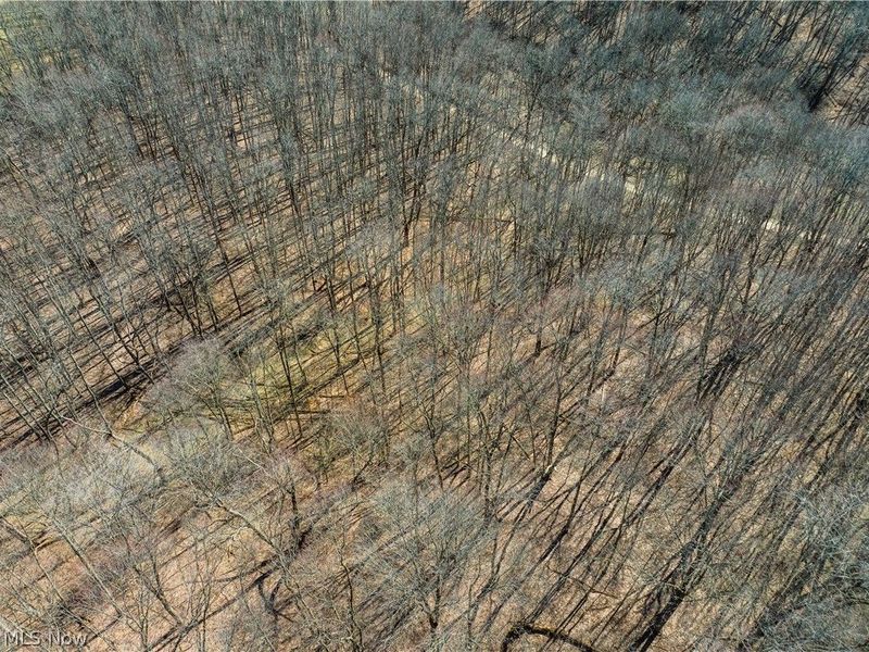 Burrier Road, Jewett, OH 43986 Photo 24