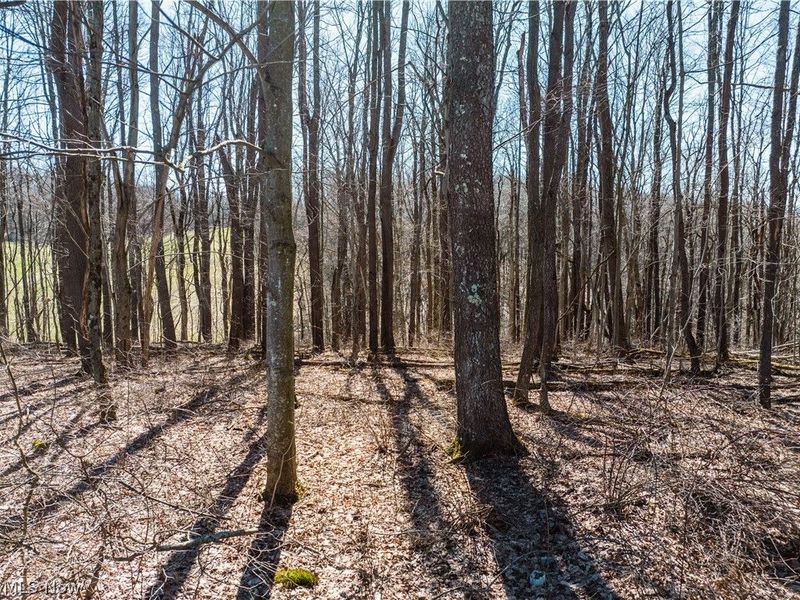 Burrier Road, Jewett, OH 43986 Photo 25