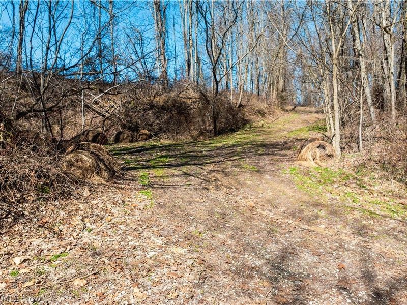 Burrier Road, Jewett, OH 43986 Photo 26