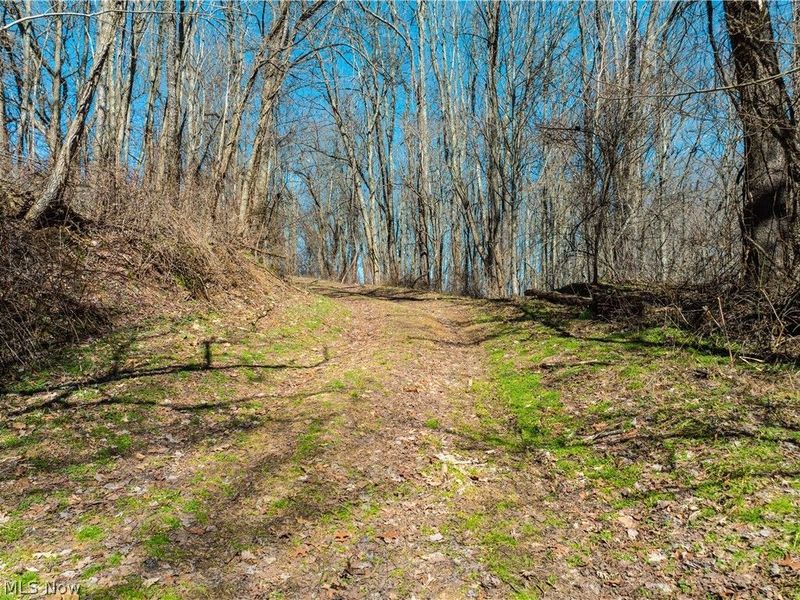 Burrier Road, Jewett, OH 43986 Photo 27