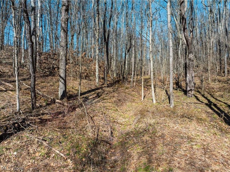 Burrier Road, Jewett, OH 43986 Photo 34