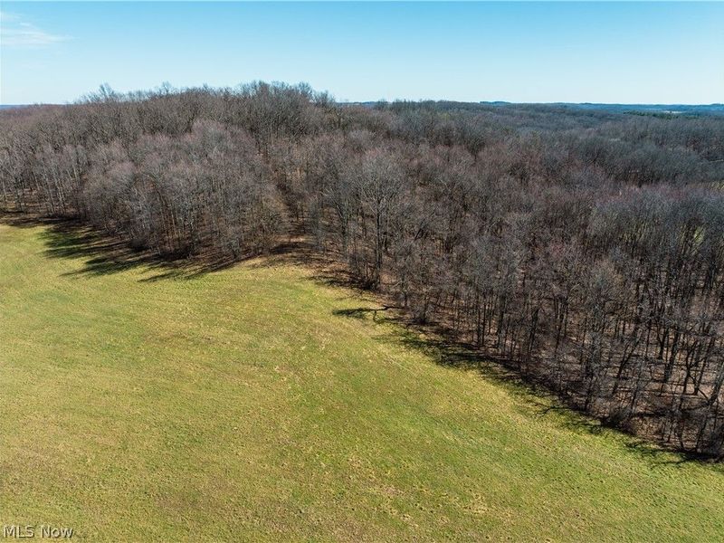 Burrier Road, Jewett, OH 43986 Photo 5