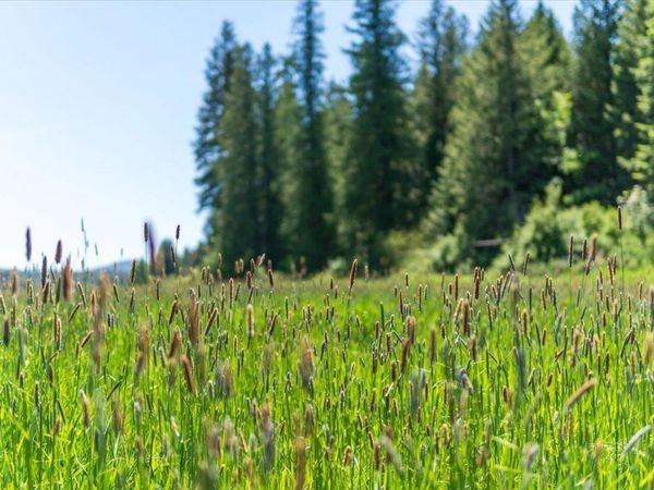 XXXX Hwy 211, Newport, WA 99156