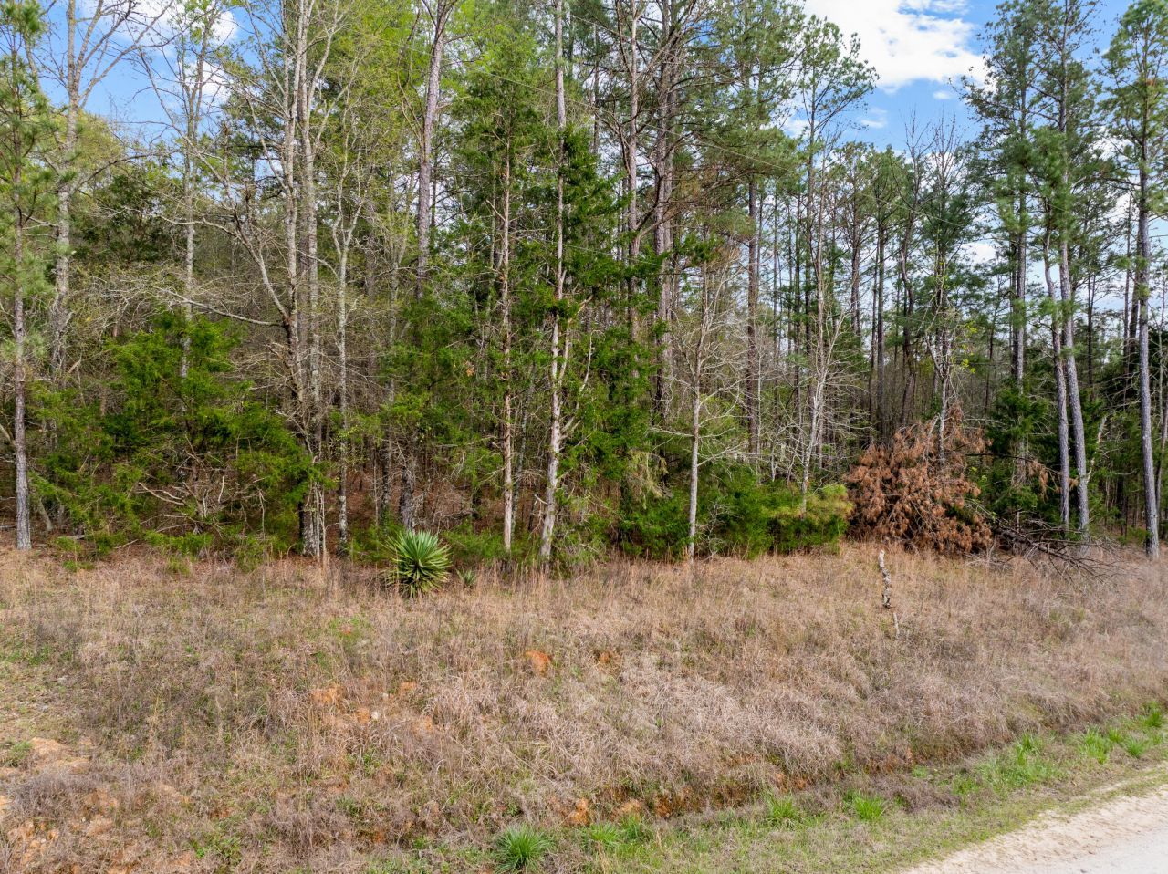 37 Sherrill Lane Photo 9