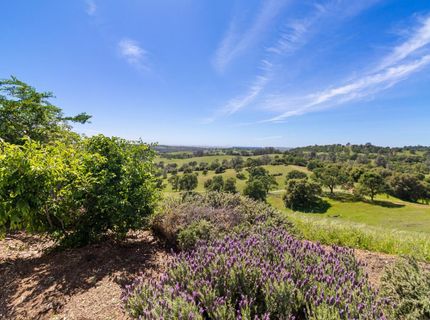 11015 Vintage Rd, Ione, CA 95640 Photo