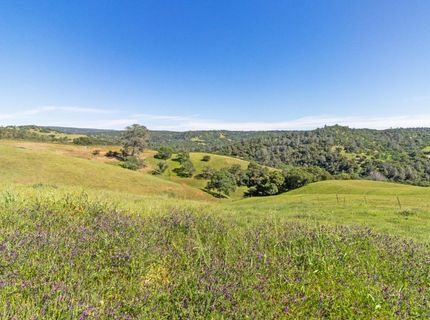 11015 Vintage Rd, Ione, CA 95640 Photo