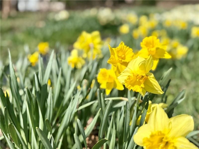 7711 W Frederick Garland Road, Union Township, OH 45322 Photo 61