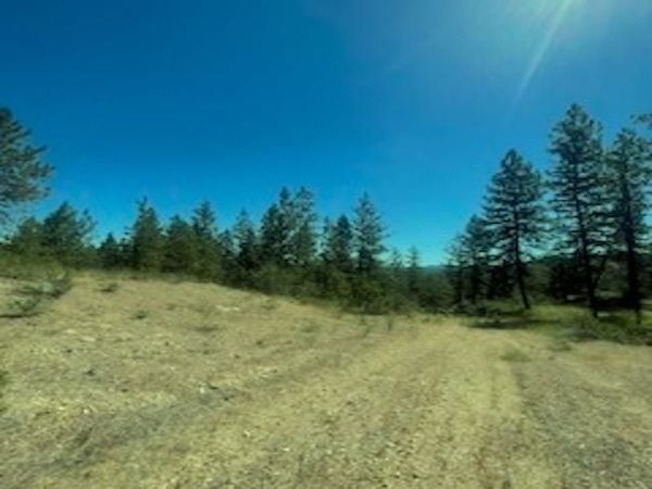 Lot 27 Bighorn Dr, Davenport, WA 99122