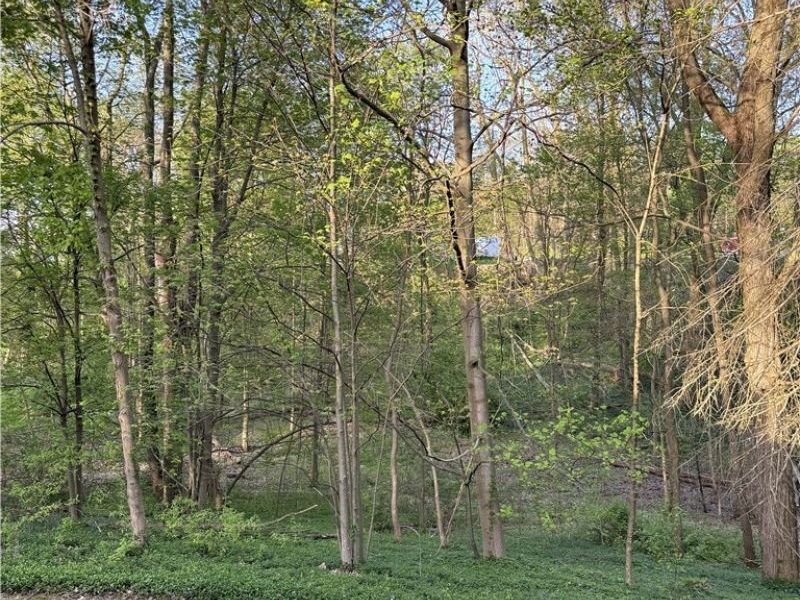 3586 Leafland Street NW, Uniontown, OH 44685 Photo 35