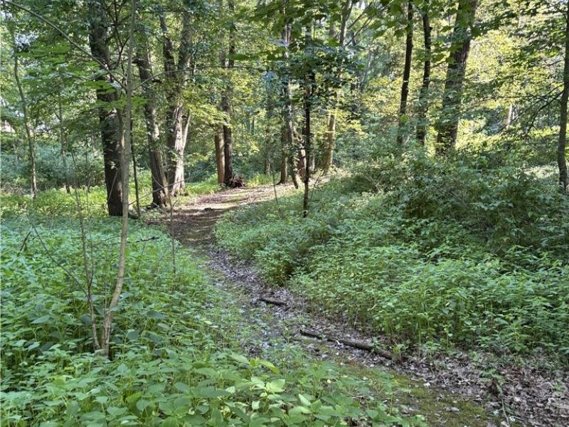 3586 Leafland Street NW, Uniontown, OH 44685 Photo 36