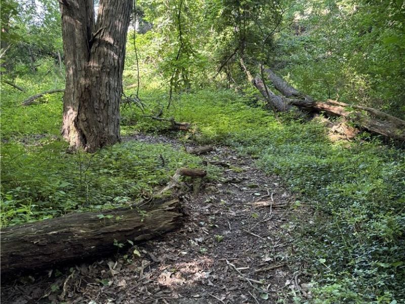 3586 Leafland Street NW, Uniontown, OH 44685 Photo 38