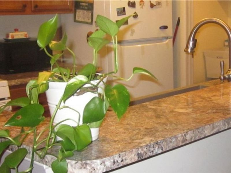 7181 Lexington Court, Northfield, OH 44067 Photo 12